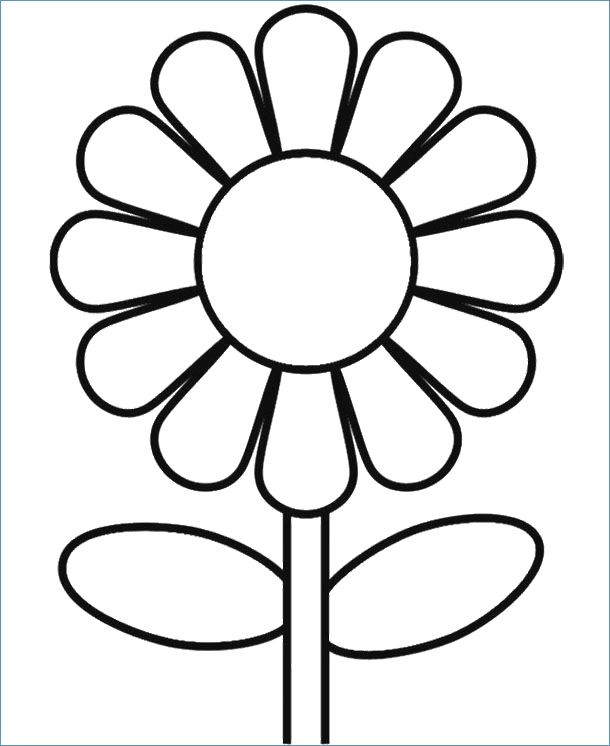 Printable Spring Flower Coloring Pages 610x746 Printable Spring Flower Coloring Pages
