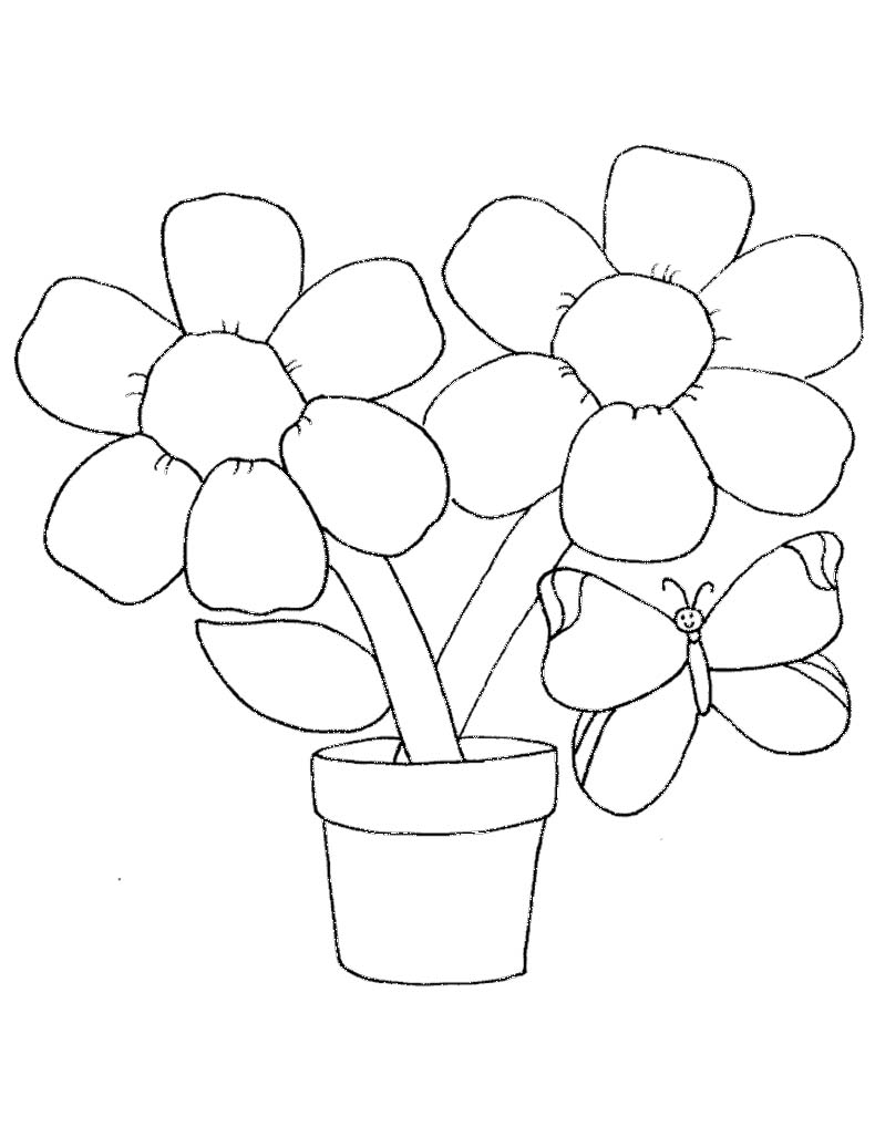 Spring Flower Coloring Pages 790x1018 Spring Flower Coloring Pages