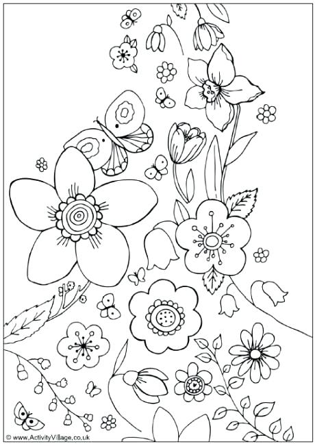Spring Flower Coloring Pictures Spring Flowers Colouring Page 460x651 Spring Flower Coloring Pictures Spring Flowers Colouring Page