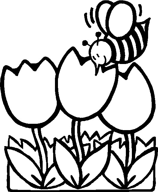 Spring Flower Coloring Pages Free Flower Coloring Pages For Kids 526x636 Spring Flower Coloring Pages Free Flower Coloring Pages For Kids
