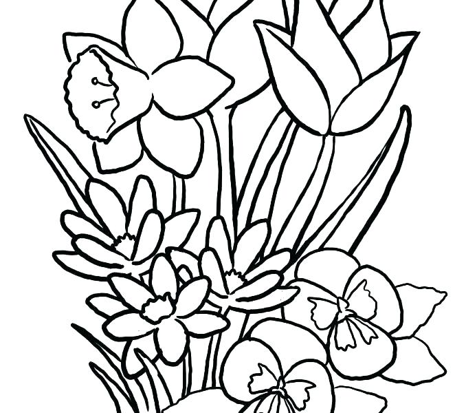 Cute Flower Coloring Pages Coloring Pages Flowers Free Printable 678x600 Cute Flower Coloring Pages Coloring Pages Flowers Free Printable