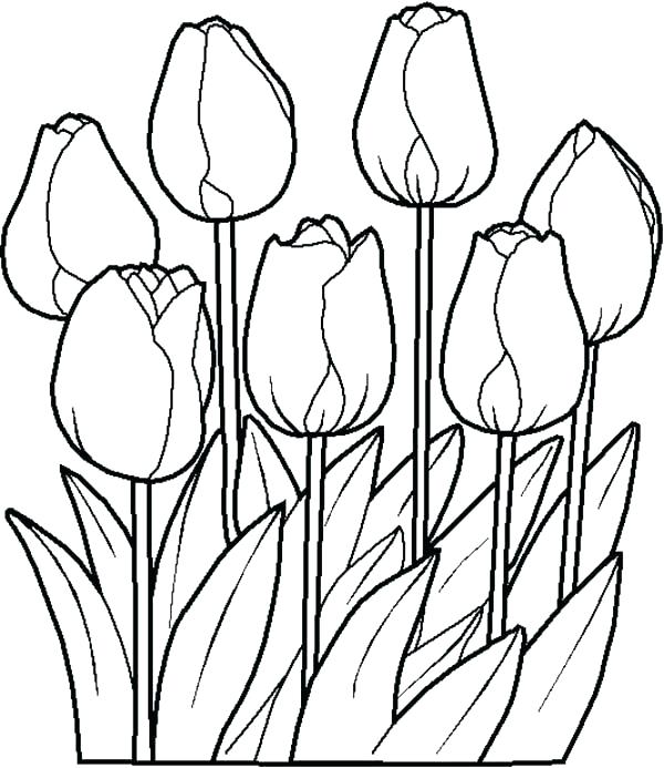 Cute Flower Coloring Pages Coloring Pages New Printable Spring 600x693 Cute Flower Coloring Pages Coloring Pages New Printable Spring