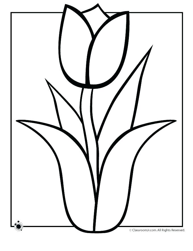 Flower Color Pages Spring Flower Coloring Page For Kids Flower 680x880 Flower Color Pages Spring Flower Coloring Page For Kids Flower