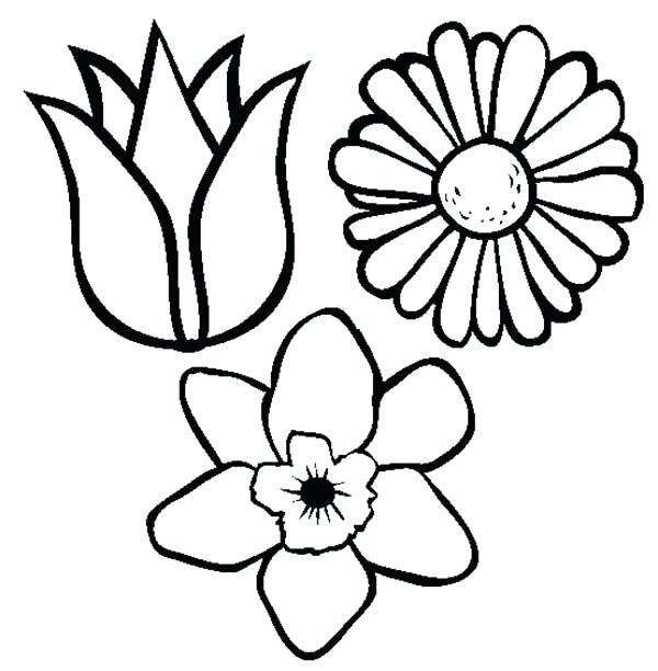 600x612 Flower Color Pages Spring Flower Coloring Page For Kids Free