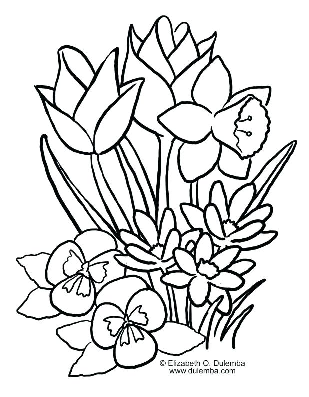618x795 Free Flower Coloring Pages Inspirational Design Spring Flowers