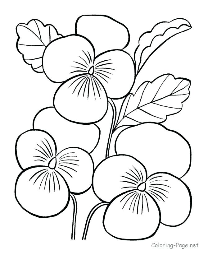 670x820 Printable Flower Coloring Pages Ideas About Flower Coloring Pages