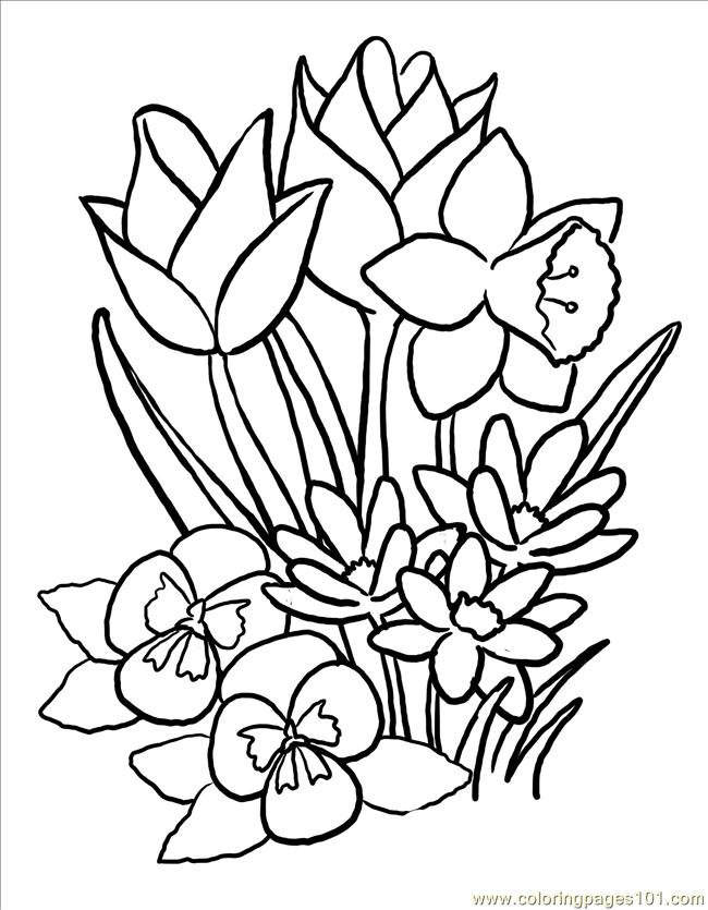 650x835 Spring Flowers Coloring Pages Printable Spring Flower Coloring