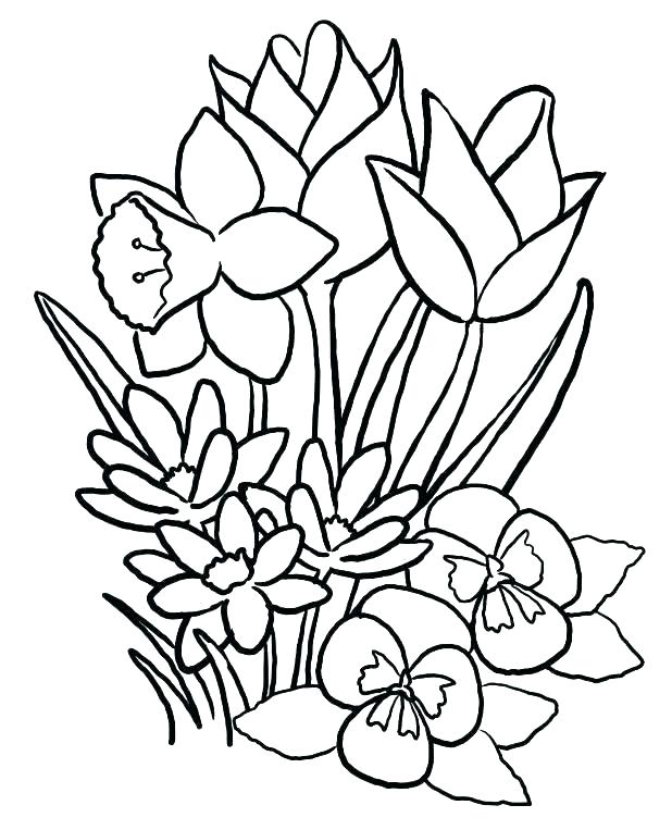 Spring Coloring Pages Kids Coloring Pages Printable Spring 618x763 Spring Coloring Pages Kids Coloring Pages Printable Spring