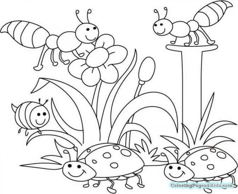 Cute Spring Baby Chick Coloring Pages Coloring Pages For Kids 800x654 Cute Spring Baby Chick Coloring Pages Coloring Pages For Kids