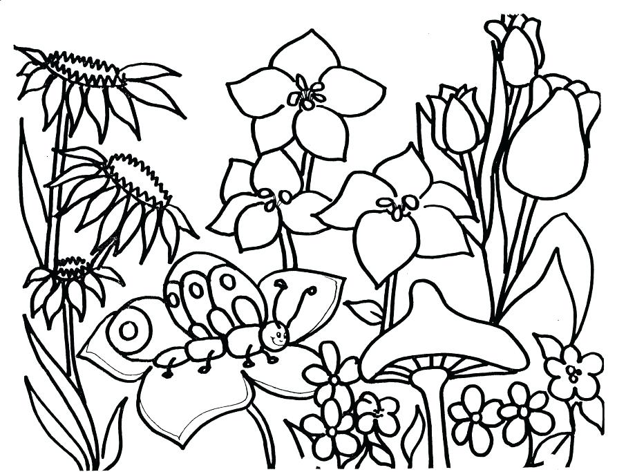 906x683 Spring Coloring Page Free Printable Spring Coloring Pages Spring