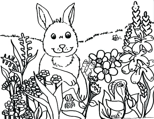 600x464 Astonishing Spring Coloring Pages Printable