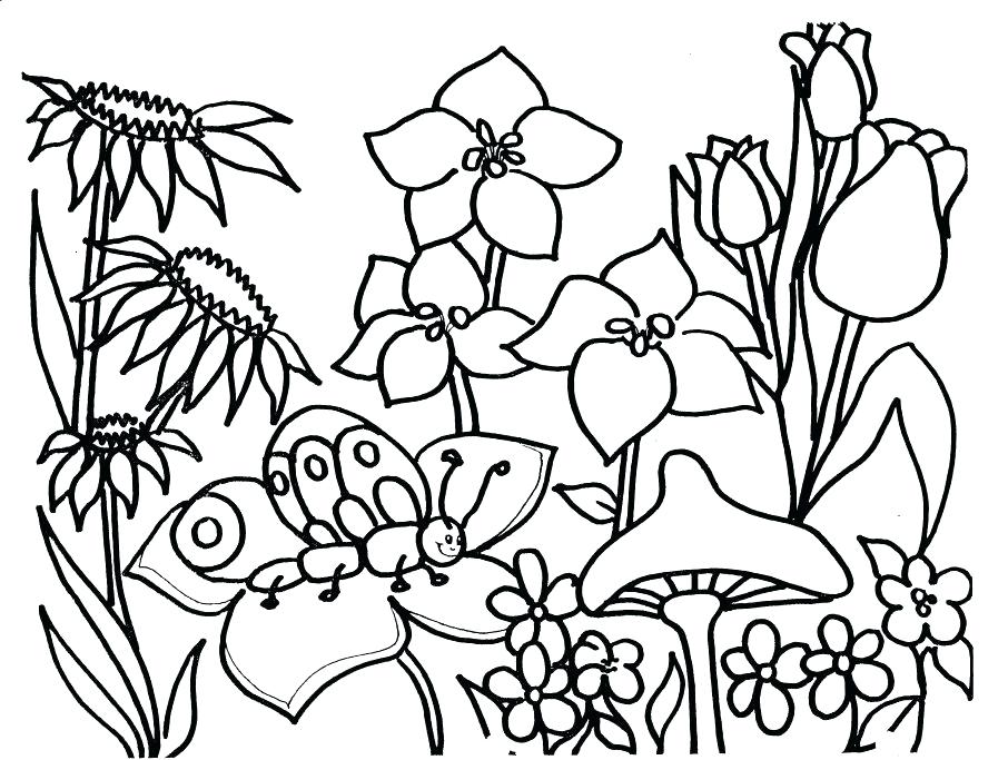 906x683 Spring Pictures Coloring Pages Adult Coloring Pages For Seniors