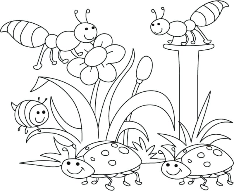 800x654 Best Of Spring Printable Coloring Pages And Free Preschool