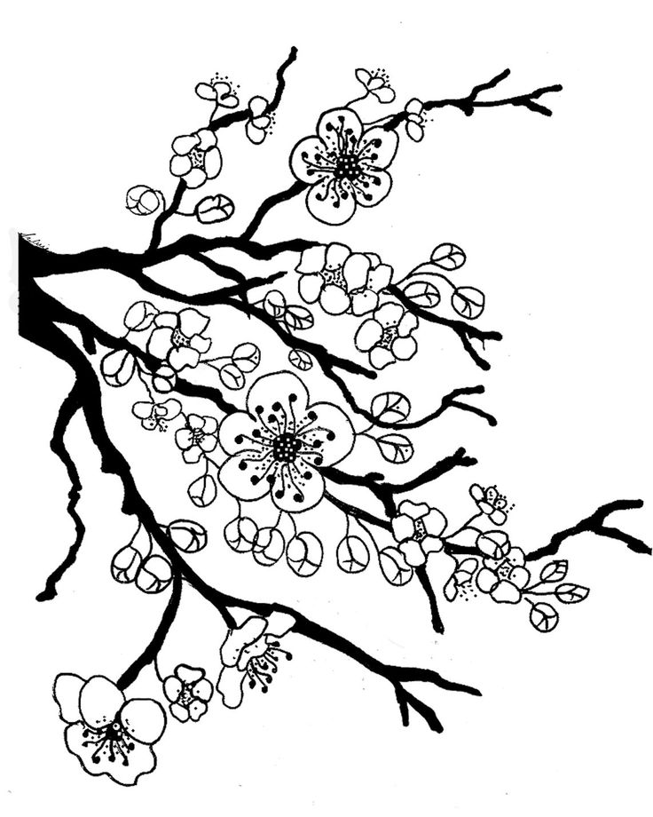 Spring Tree Coloring Page