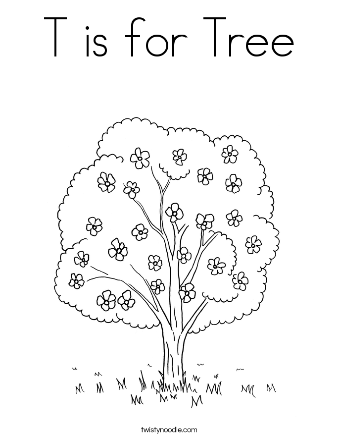 685x886 T Is For Tree Coloring Page