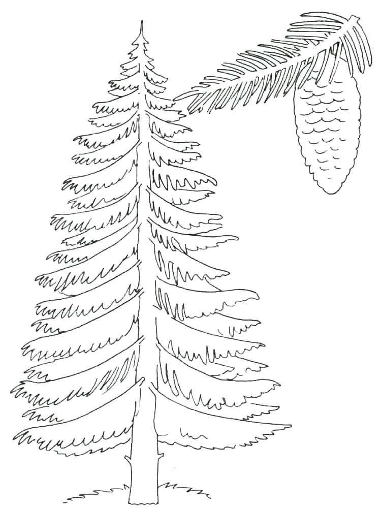 Spring Tree Coloring Page at GetColorings.com | Free printable ...