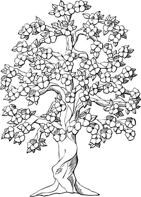 467x650 Coloring Pages Of Spring Trees Flowers Spring Tree