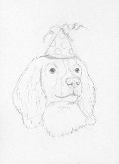 English Springer Spaniel Wonderful Pet If You Have Children 236x323 English Springer Spaniel Wonderful Pet If You Have Children