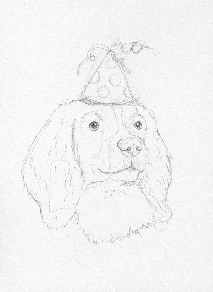 Springer Spaniel Birthday Sketch By Battlekat's Boutique Art 701x960 Springer Spaniel Birthday Sketch By Battlekat's Boutique Art