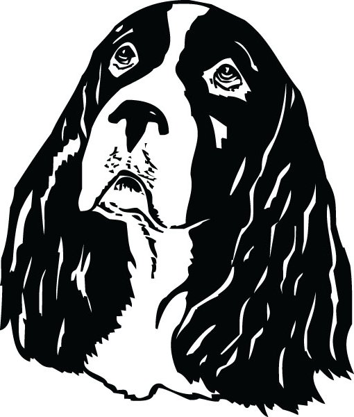 Springer Spaniel Clipart Brown White Many Interesting Cliparts 510x600 Springer Spaniel Clipart Brown White Many Interesting Cliparts