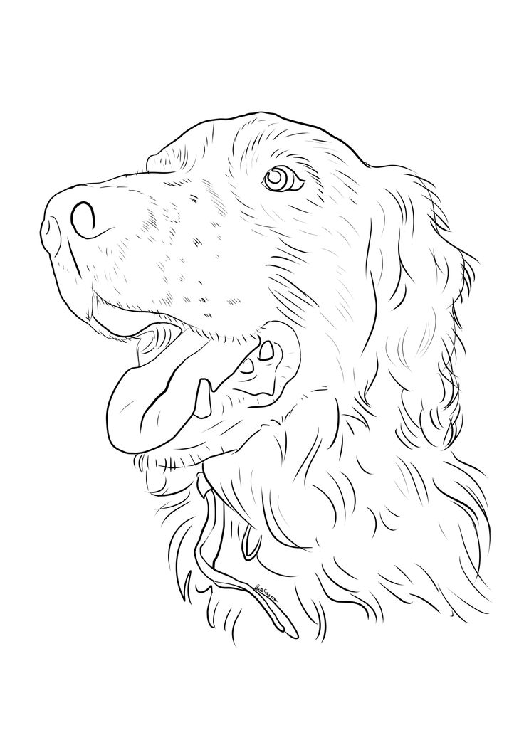 33 Best Colouring Pages Images On Coloring Pages 736x1040 33 Best Colouring Pages Images On Coloring Pages