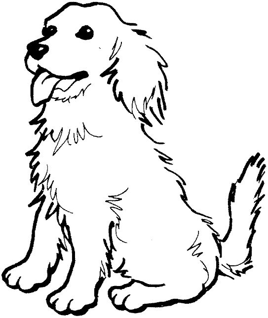 Coloring Page Of A Golden Retriever Photo 543x646 Coloring Page Of A Golden Retriever Photo
