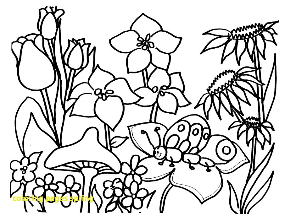 Coloring Pages Spring With Spring Coloring Pages Printable Open 906x688 Coloring Pages Spring With Spring Coloring Pages Printable Open