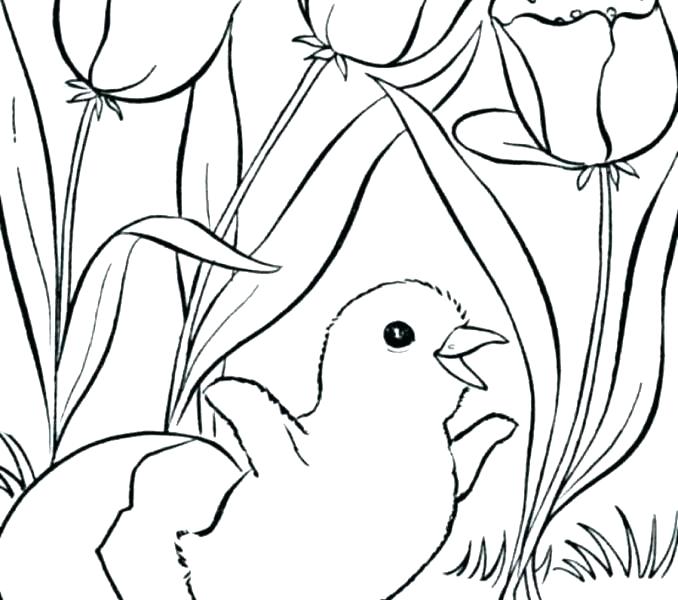 Fnaf Coloring Pages Springtrap Spring For Kids Printable Fo 678x600 Fnaf Coloring Pages Springtrap Spring For Kids Printable Fo