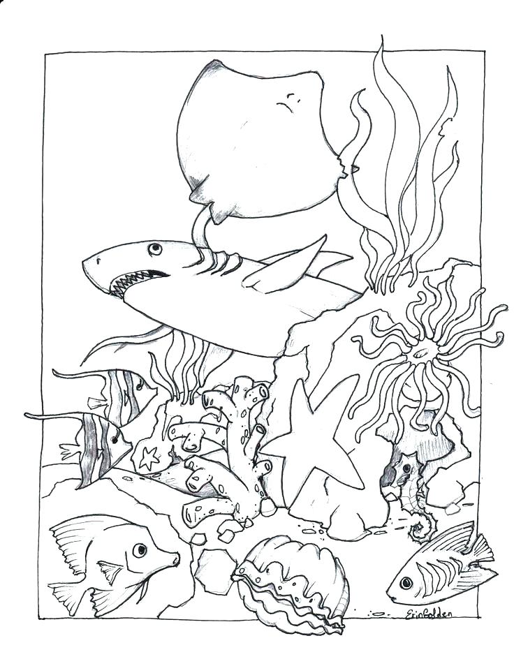 736x954 Coloring Pages Online Hard Glow Book Shark Page 6 Free Printable