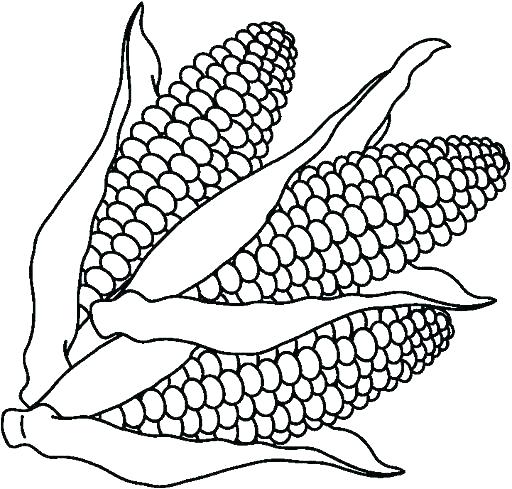 512x489 Coloring Pages Vegetables