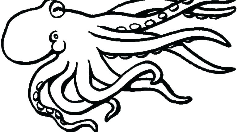 Ninja Turtles Coloring Pages Cute Turtle Coloring Pages Squid 770x430 Ninja Turtles Coloring Pages Cute Turtle Coloring Pages Squid