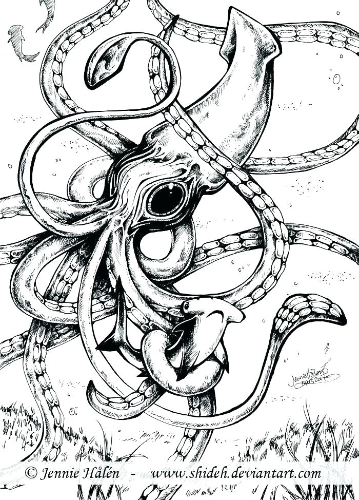 Squid Coloring Page Squid Coloring Page Squid Coloring Page Giant 700x974 Squid Coloring Page Squid Coloring Page Squid Coloring Page Giant