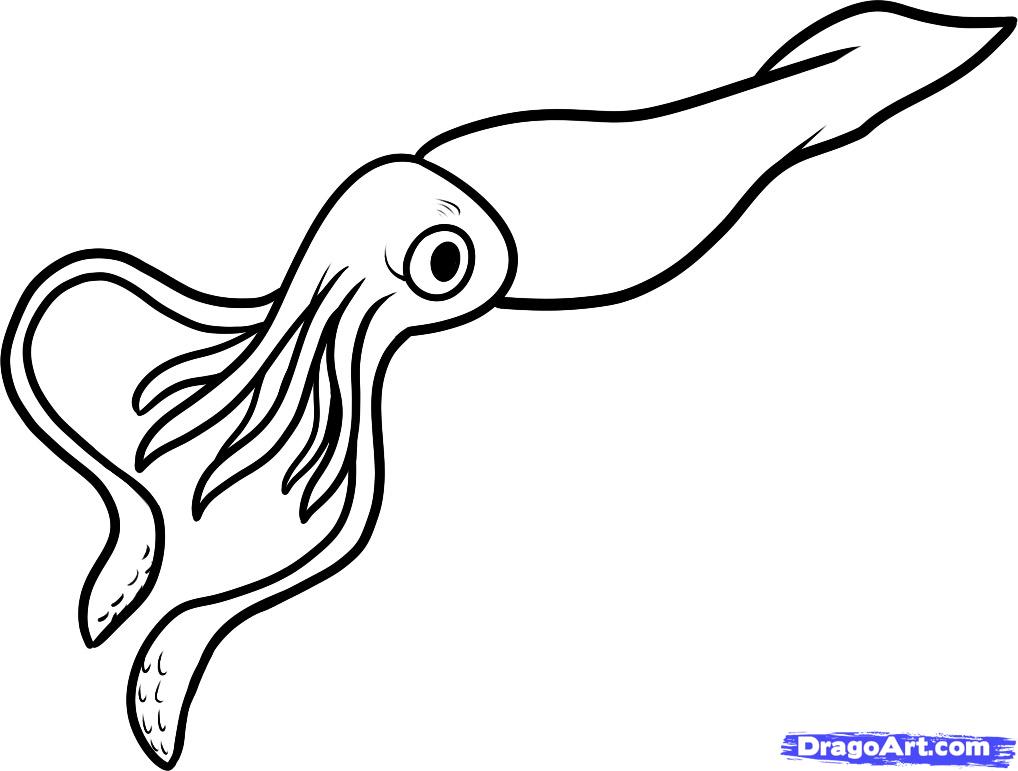 Squid Coloring Pages 1018x771 Squid Coloring Pages