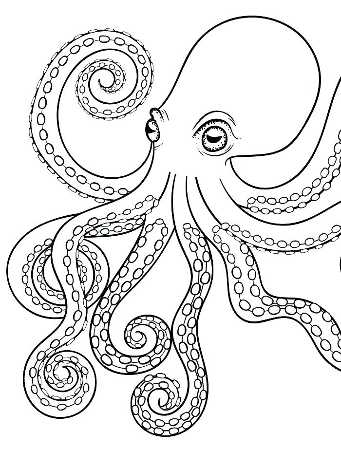 Squid Coloring Pages Octopus Ocean Coloring Page Squid Coloring 700x924 Squid Coloring Pages Octopus Ocean Coloring Page Squid Coloring
