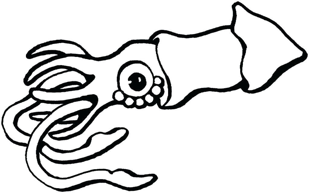 Squid Coloring Pages Printable Giant Squid Coloring Page Giant 1024x641 Squid Coloring Pages Printable Giant Squid Coloring Page Giant