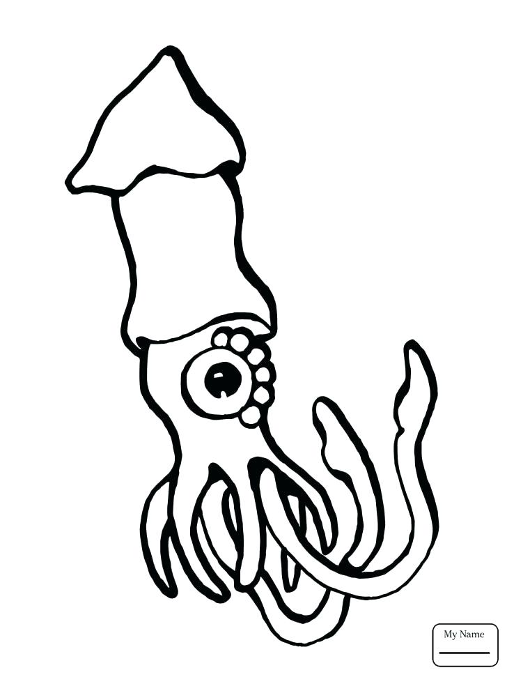 Squid Coloring Pages Squid Coloring Pages Medium Size Of Squid 728x971 Squid Coloring Pages Squid Coloring Pages Medium Size Of Squid