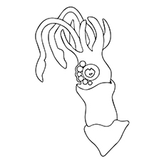 Top 10 Free Printable Squid Coloring Pages Online 230x230 Top 10 Free Printable Squid Coloring Pages Online