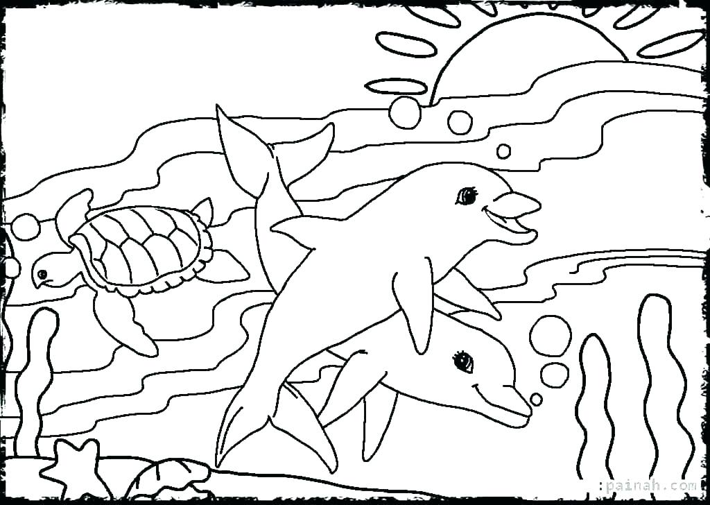 Squid Coloring Pages 1024x728 Squid Coloring Pages