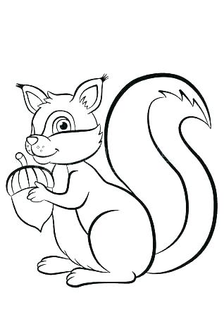 318x450 Flying Squirrel Coloring Page Picture Of A Squirrel To Color