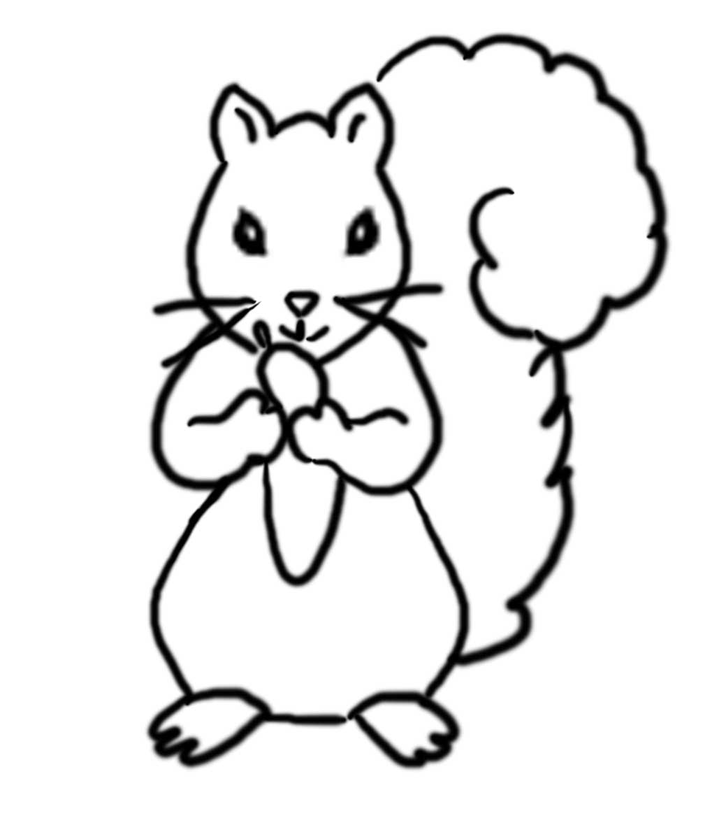 1039x1200 Grey Squirrel Coloring Page, Grey Squirrel Coloring Pagejpg