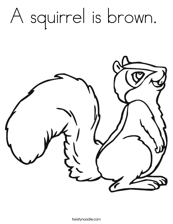 685x886 A Squirrel Is Brown Coloring Page