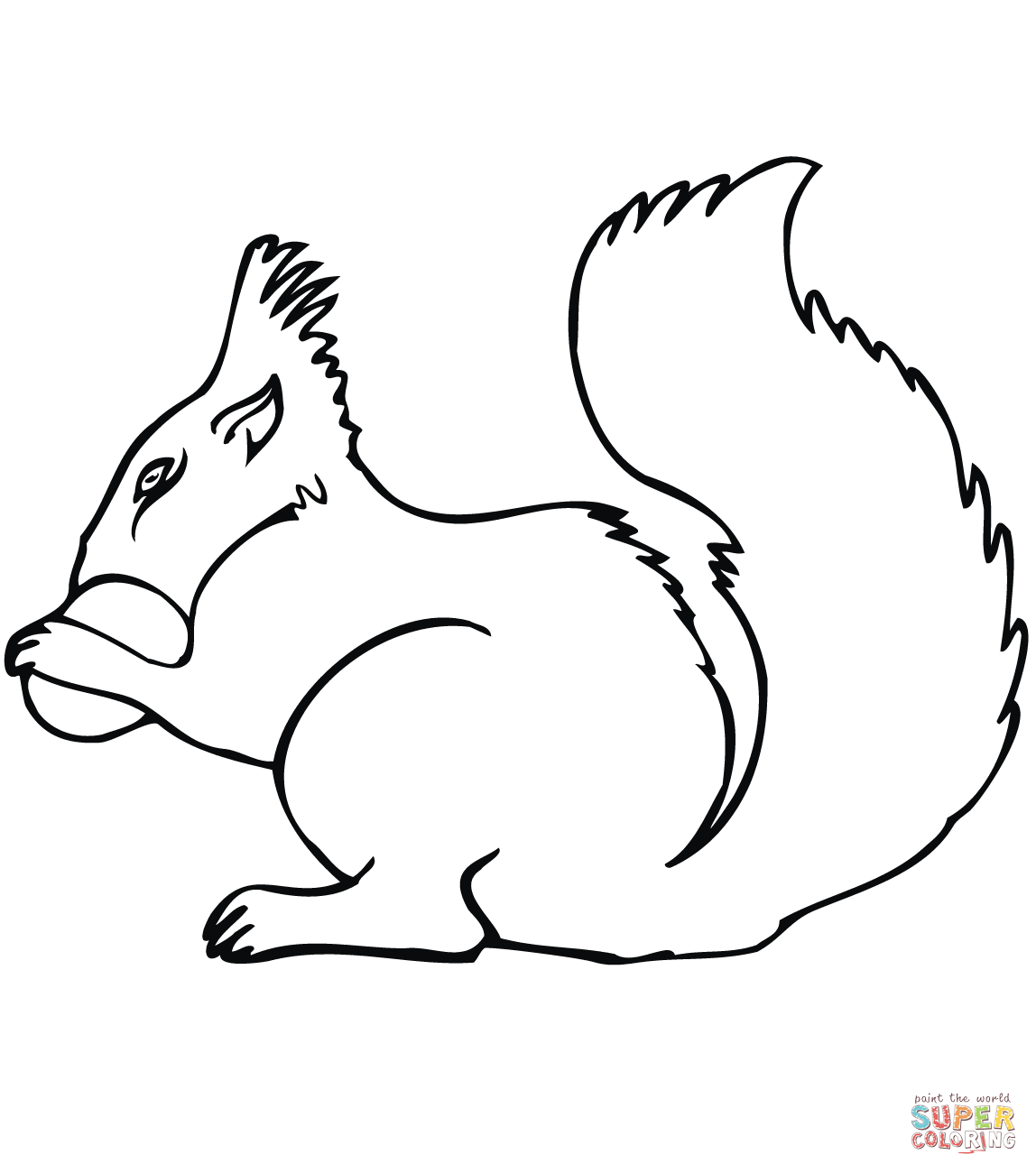 1148x1300 Easy Squirrel Coloring Pages Squirrels Free