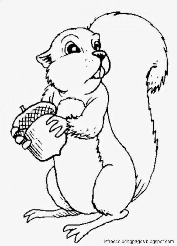 578x800 S For Squirrel Coloring Pages