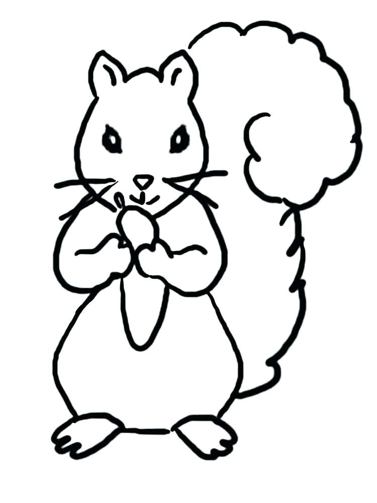750x1000 Squirrel Coloring Page Bell Squirrel Coloring Pages For Preschool