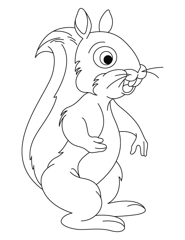 612x792 Squirrel Coloring Pages For Preschool 313627