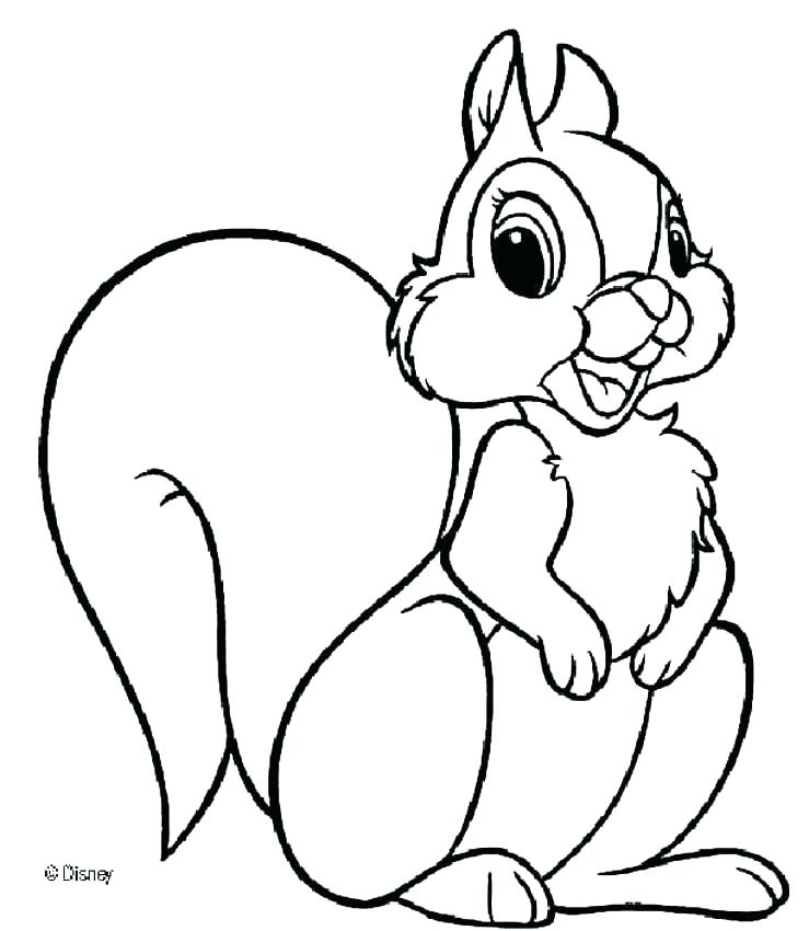 739x850 Squirrel Coloring Pages Free Printable Squirrel Coloring Pages