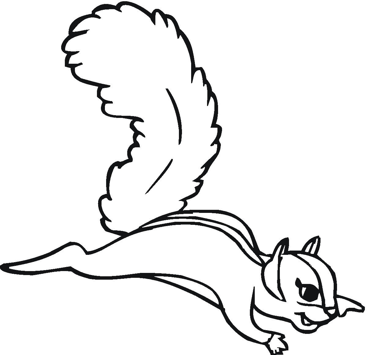 1200x1159 Coloring Pages Of Squirrel For Preschool Sheet Animal Free Sheets