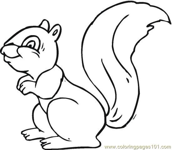 550x478 Sumptuous Design Squirrel Coloring Pages For Preschool Adults Mom