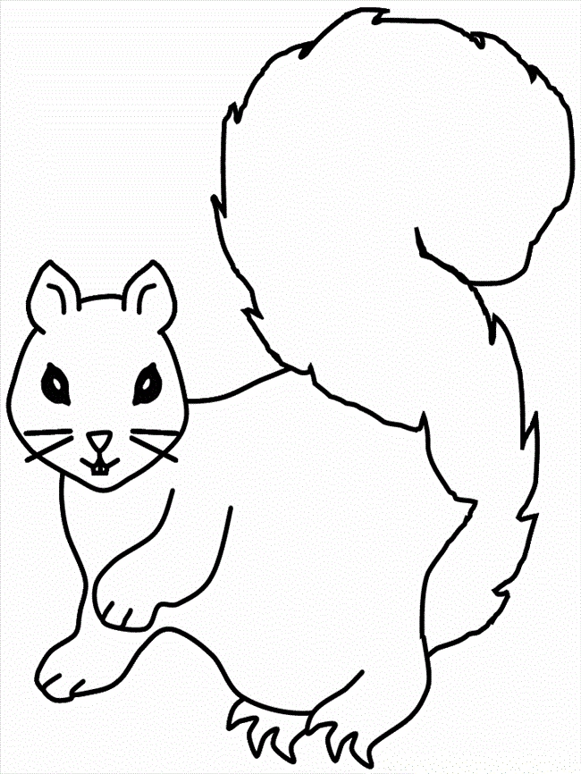 37 New Squirrel Coloring Pages Wall Design And Decoration References 650x866 37 New Squirrel Coloring Pages Wall Design And Decoration References
