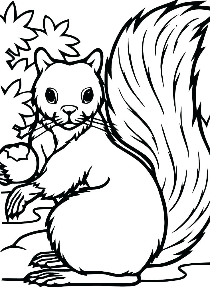 Fall Coloring Pages Printables Fall Coloring Pages 736x1014 Fall Coloring Pages Printables Fall Coloring Pages